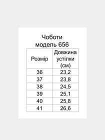 Черевики та чоботи Irbis модель 656-2_black Фото