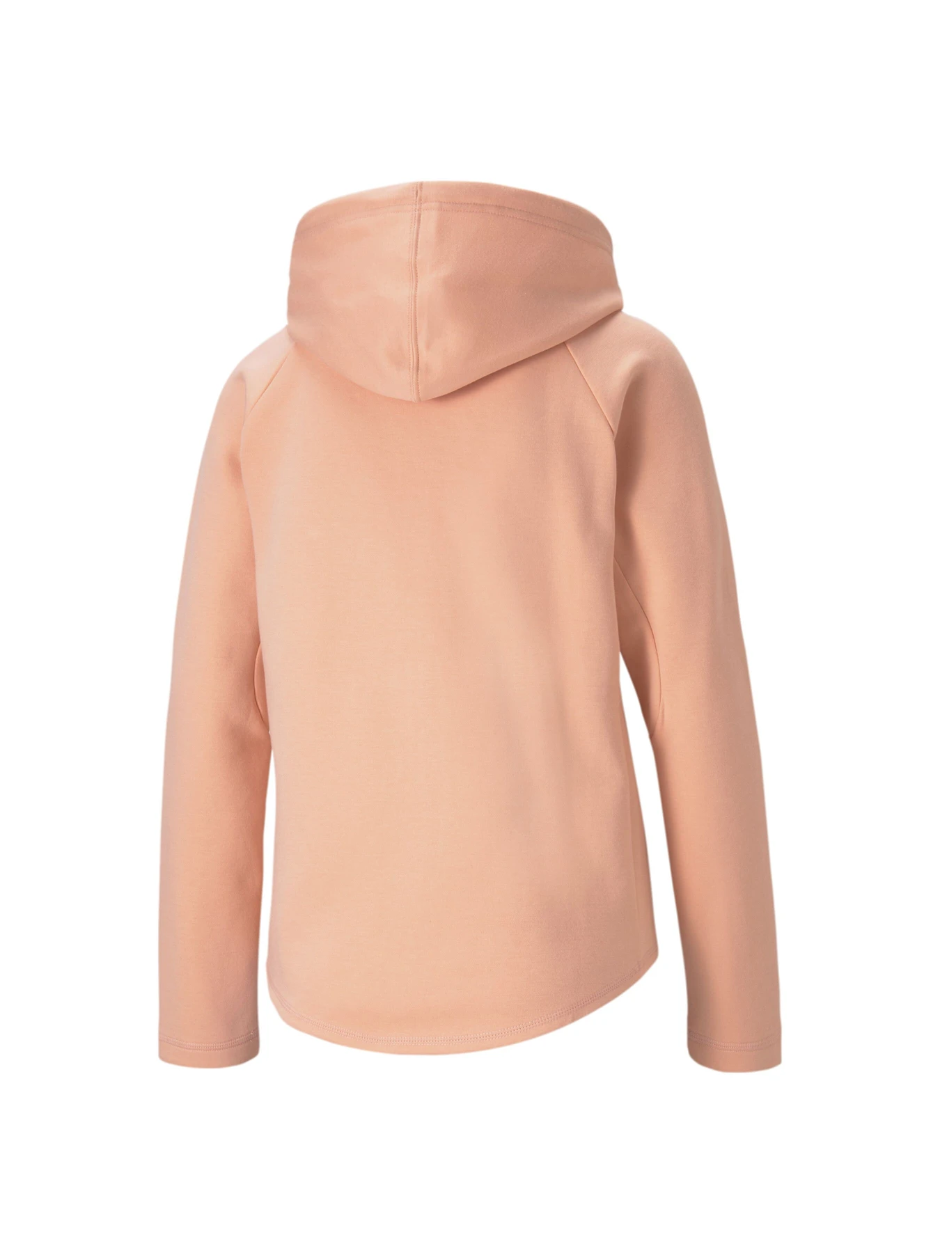 Худі та світшоти PUMA Evostripe Full-zip Hoodie модель 585945 Худі та світшоти PUMA Evostripe Full-zip Hoodie модель 585945 Фото
