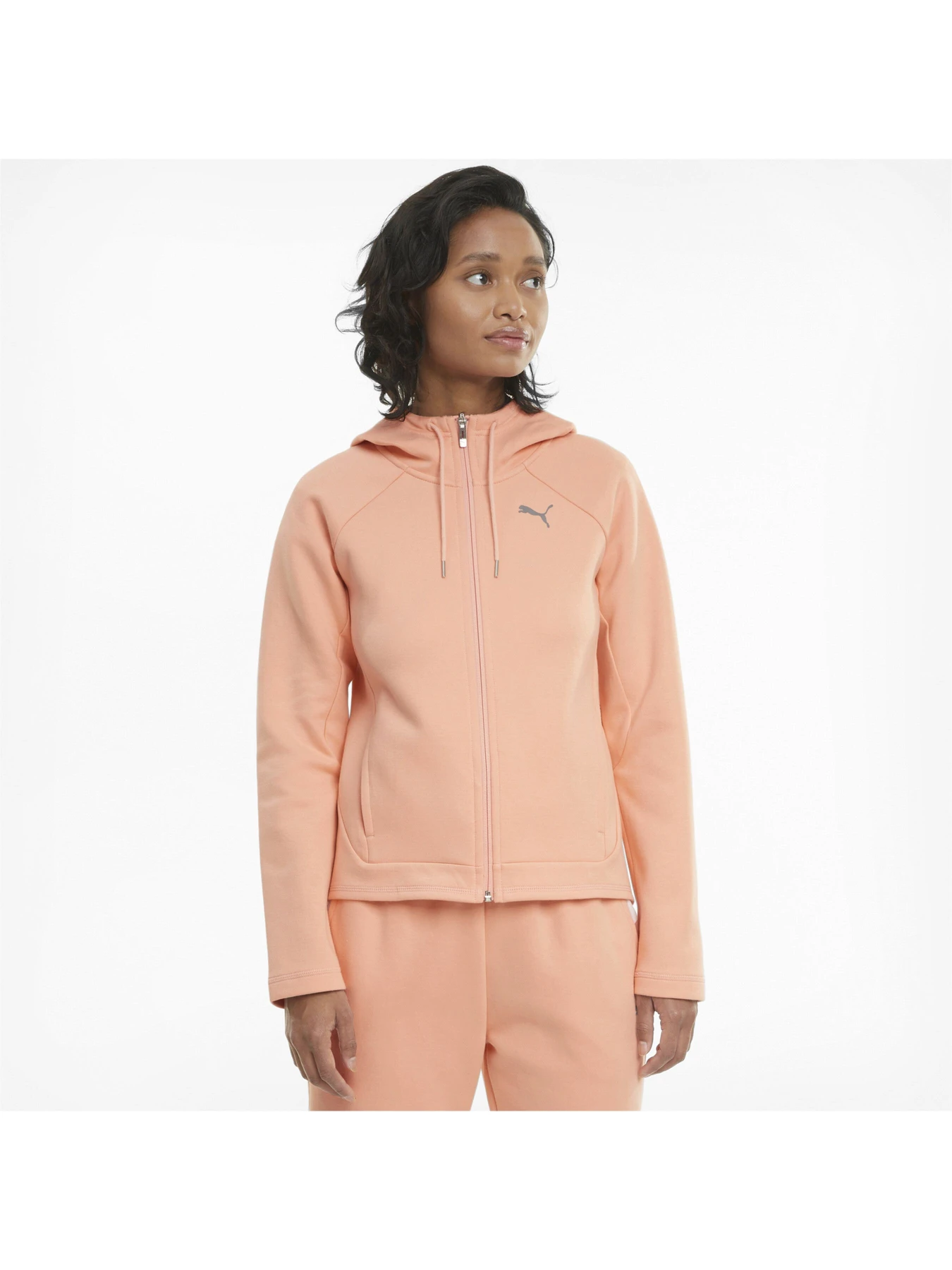 Худі та світшоти PUMA Evostripe Full-zip Hoodie модель 585945 Худі та світшоти PUMA Evostripe Full-zip Hoodie модель 585945 Фото