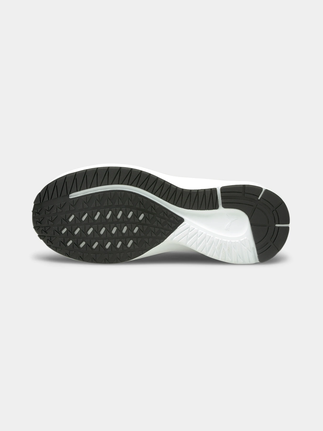 Кроссовки PUMA Aviator модель 195175 Кроссовки PUMA Aviator модель 195175 Фото