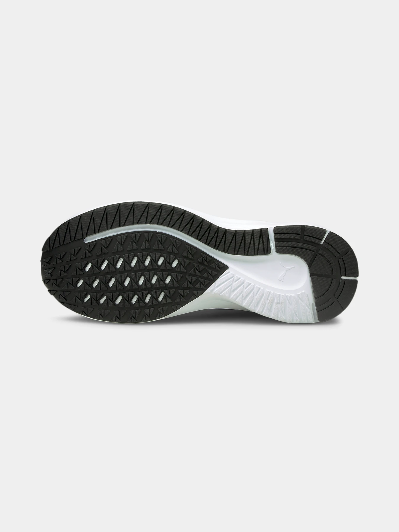 Кроссовки PUMA Aviator модель 195175 Кроссовки PUMA Aviator модель 195175 Фото