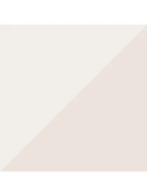 Шкарпетки та гольфи PUMA Women Sneaker 2P модель 907955 Фото