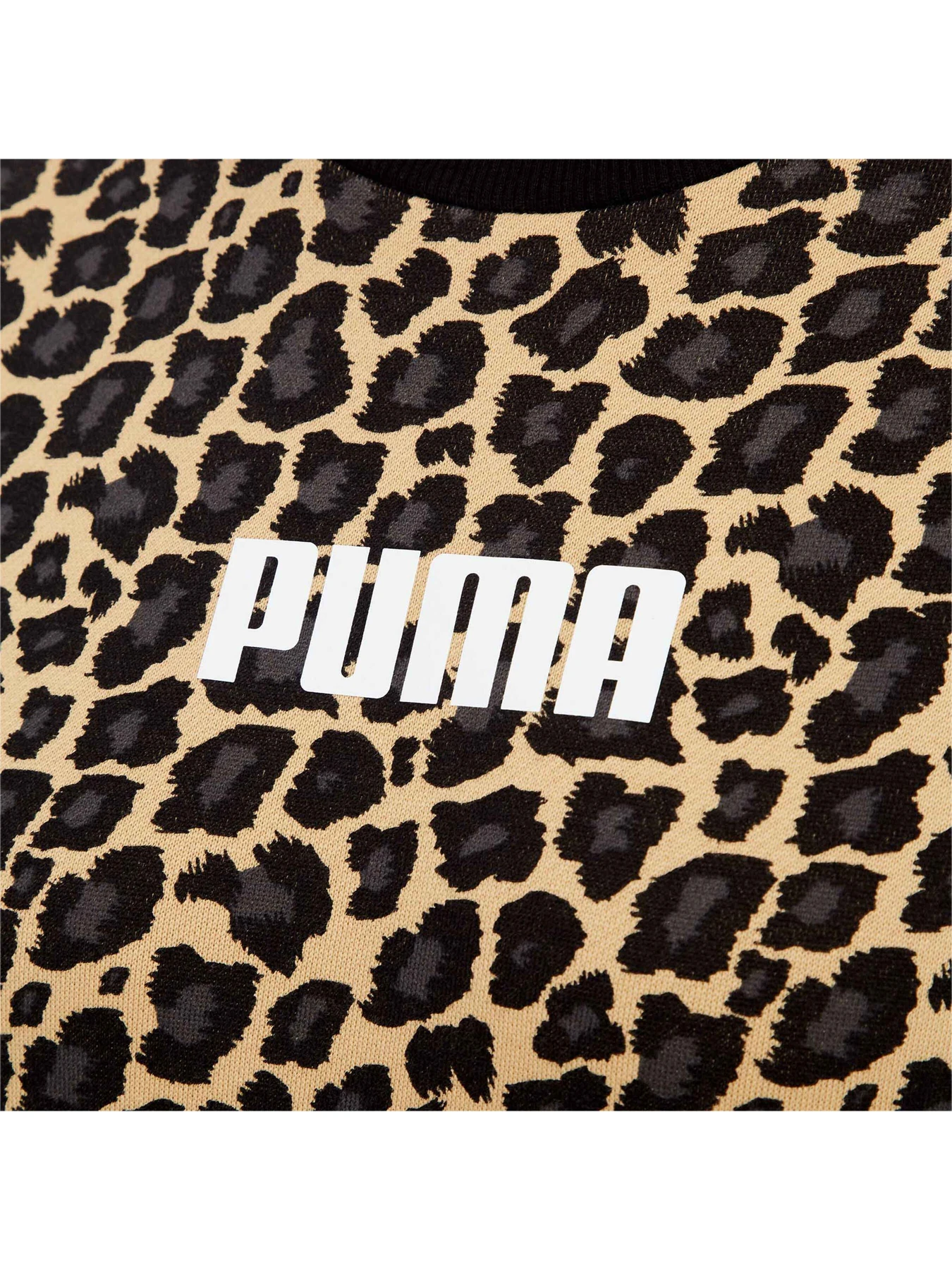 Худі та світшоти PUMA модель 848279 Фото