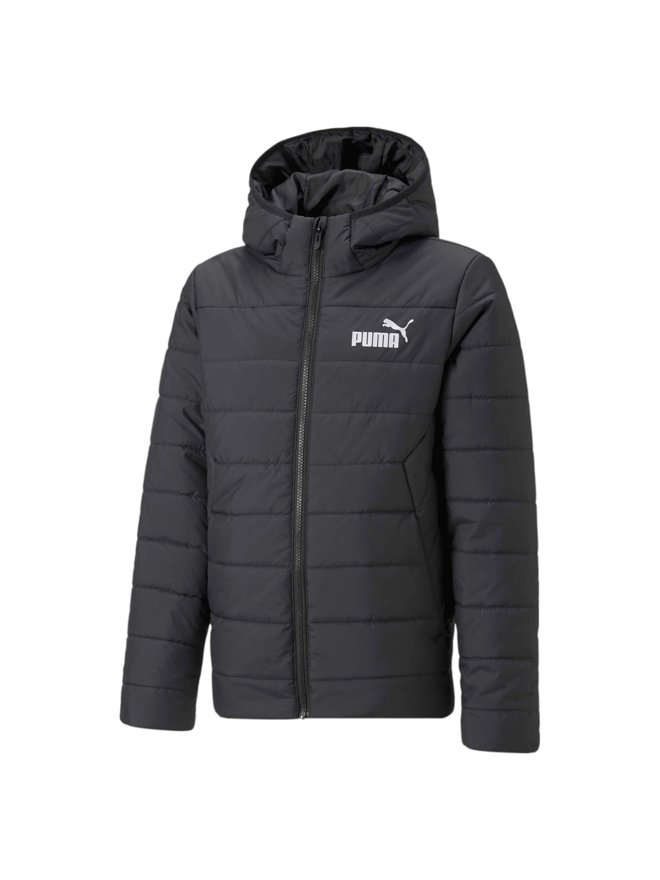 Куртки и дубленки PUMA Ess Padded Jacket модель 670559 Куртки и дубленки PUMA Ess Padded Jacket модель 670559 Фото