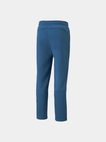 Штани PUMA Power Cat Sweatpants модель 849927 Фото