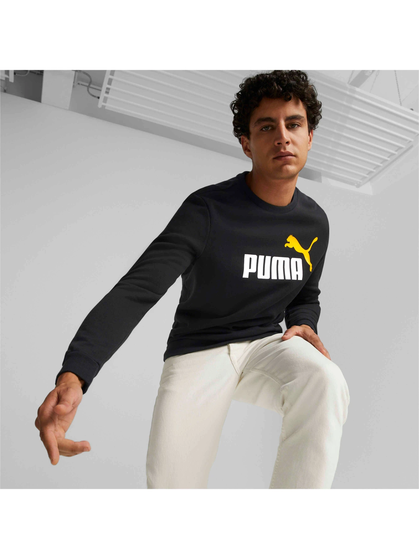 Худі та світшоти PUMA Ess+ 2 Col Big Logo Crew модель 586762 Худі та світшоти PUMA Ess+ 2 Col Big Logo Crew модель 586762 Фото