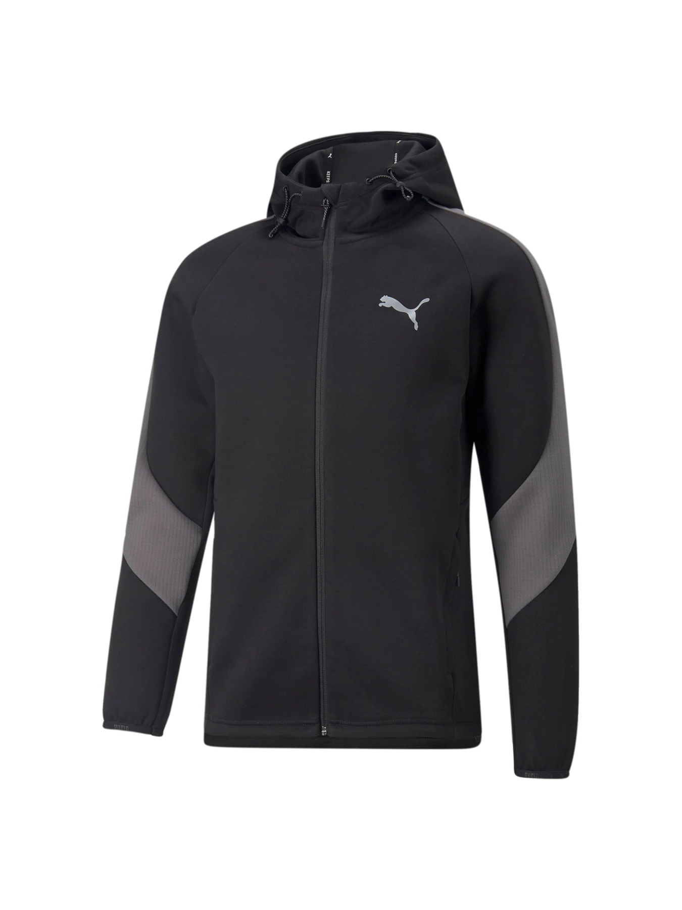 Худі та світшоти PUMA Evostripe Full-zip Hoodie модель 849915 Фото