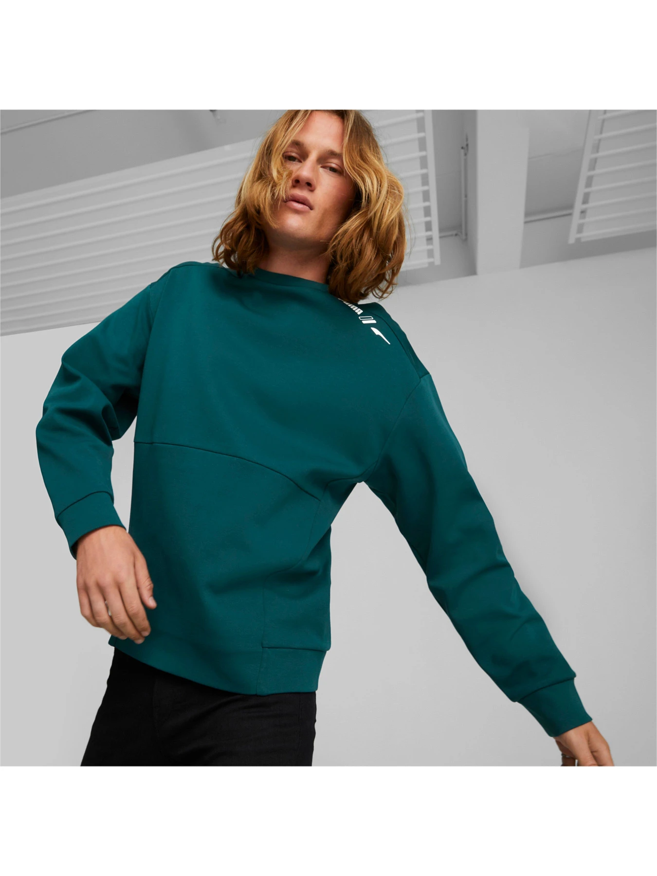 Худи и свитшоты PUMA модель 849778 Худи и свитшоты PUMA модель 849778 Фото