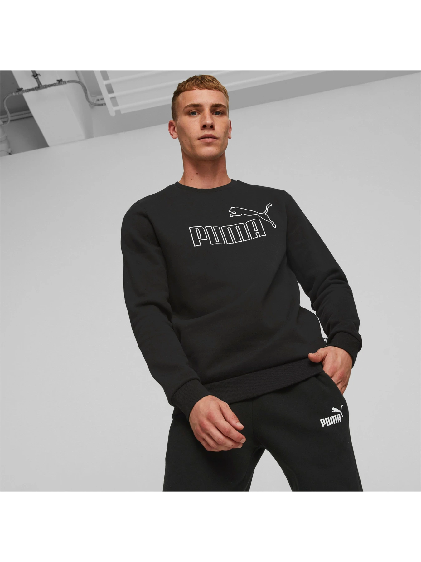 Худі та світшоти PUMA модель 849885 Худі та світшоти PUMA модель 849885 Фото