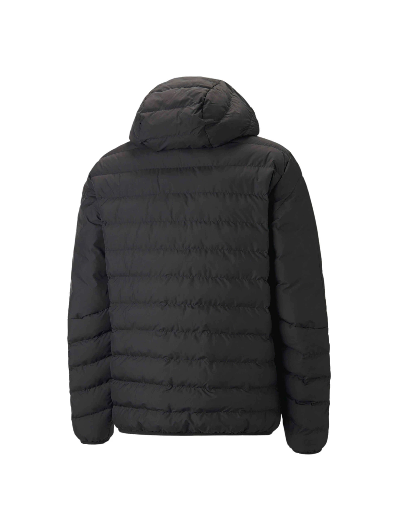 Куртки и дубленки PUMA Mapf1 Mt7 Ecolite Dwn Jacket модель 534899 Куртки и дубленки PUMA Mapf1 Mt7 Ecolite Dwn Jacket модель 534899 Фото