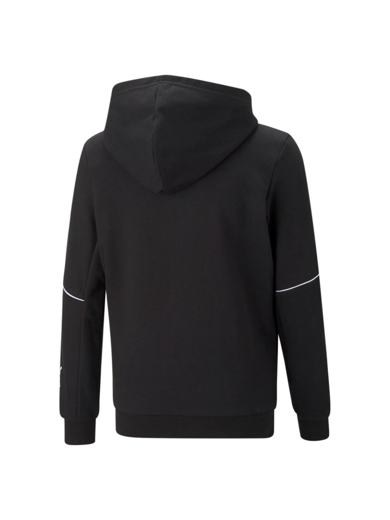 Худи и свитшоты PUMA модель 670075 Худи и свитшоты PUMA модель 670075 Фото