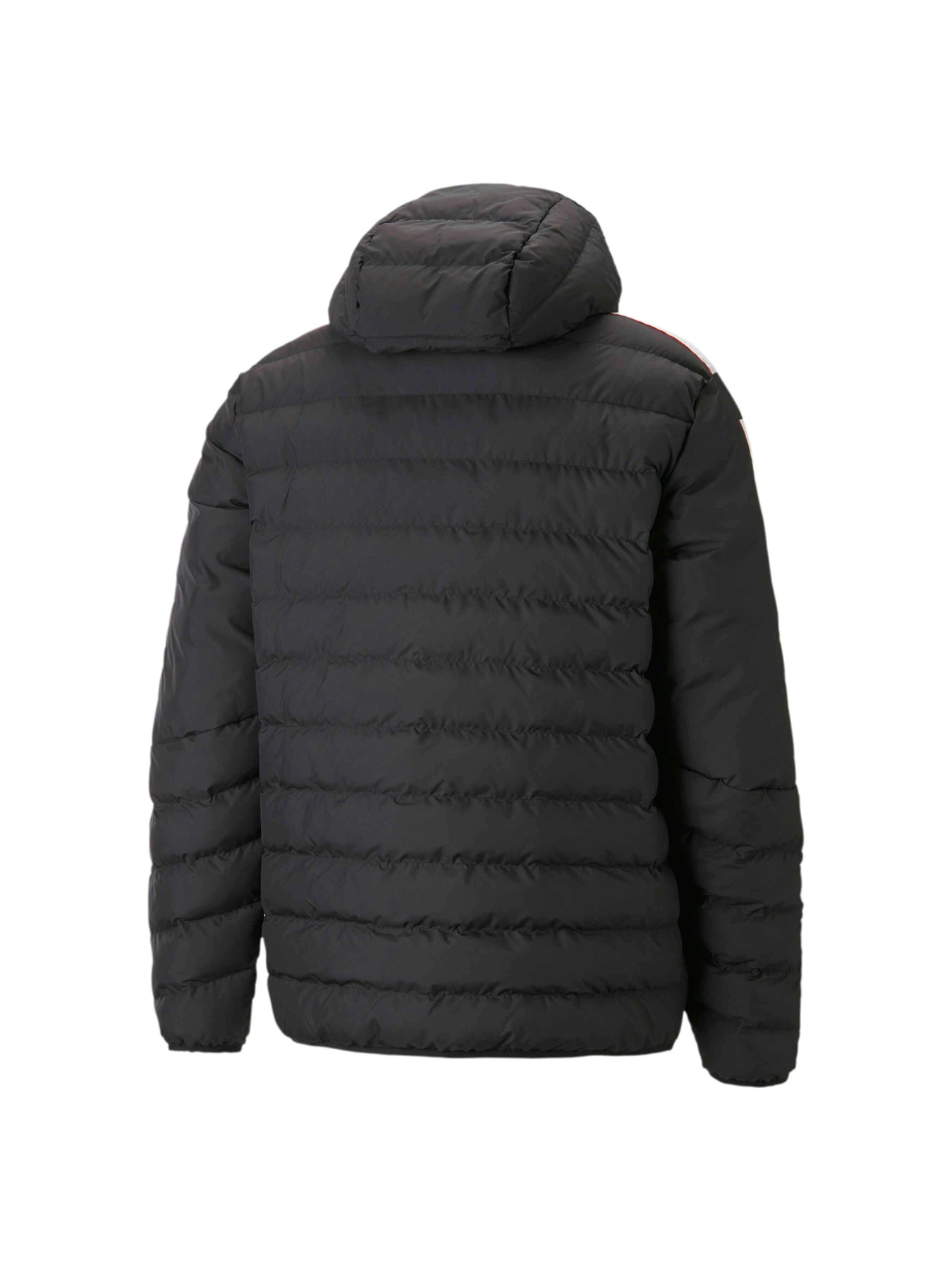 Куртки и дубленки PUMA Ferrari Race Mt7 Ecolit Jkt модель 535825 Куртки и дубленки PUMA Ferrari Race Mt7 Ecolit Jkt модель 535825 Фото