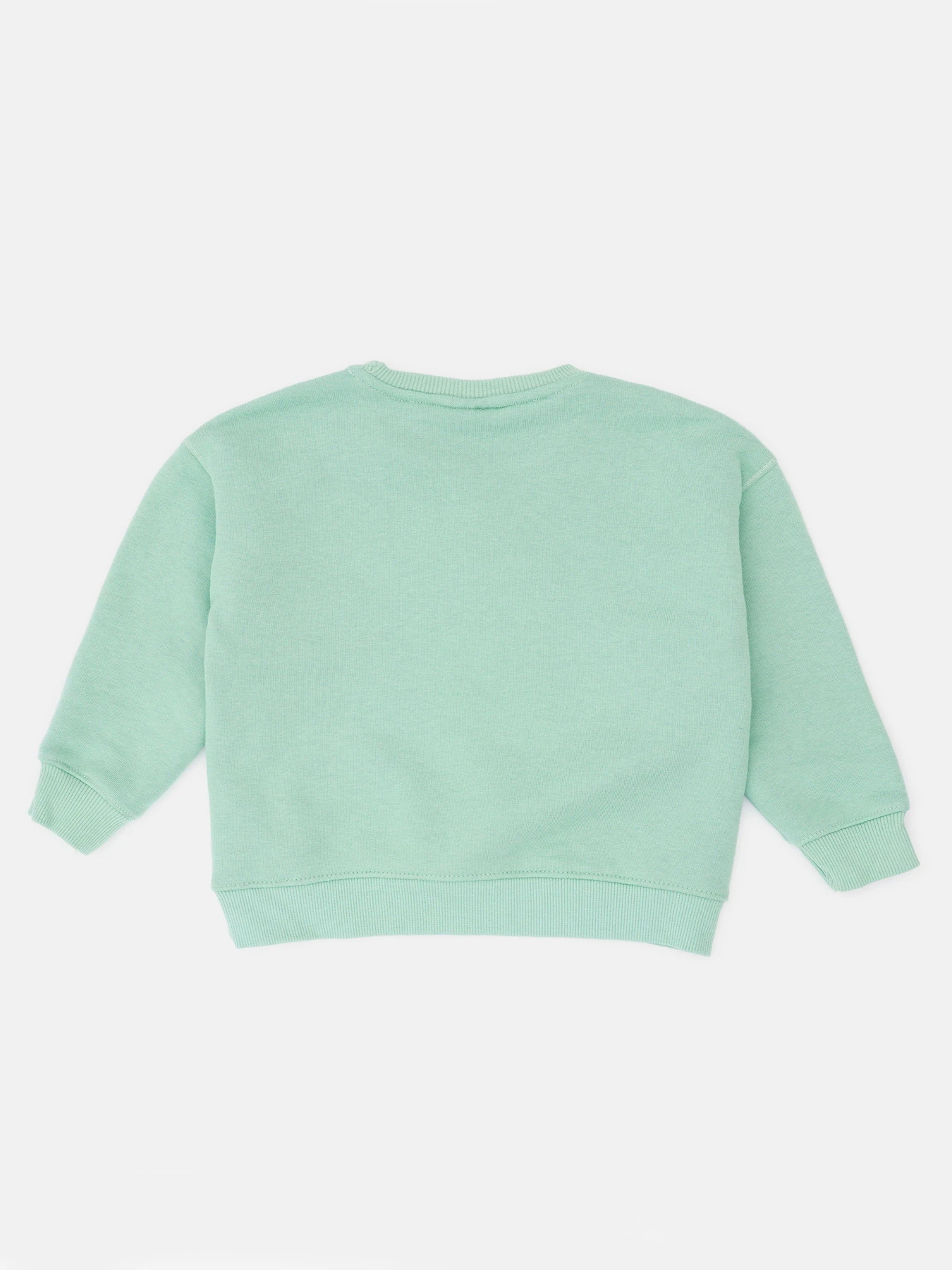 Худи и свитшоты ZARA модель 65713 Фото