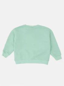 Худи и свитшоты ZARA модель 65713 Фото
