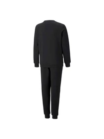 Костюми PUMA No.1 Logo Sweat Suit модель 670884 Фото