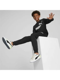 Костюми PUMA No.1 Logo Sweat Suit модель 670884 Фото