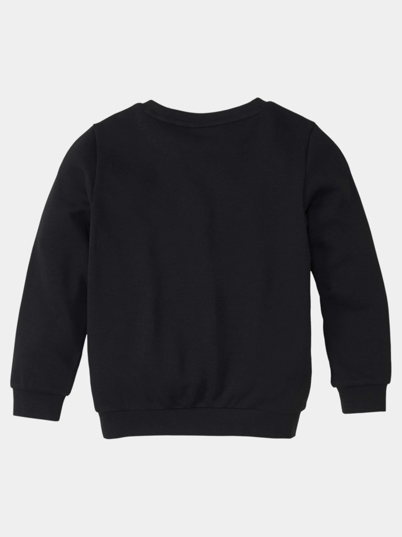 Худи и свитшоты PUMA Paw Crew модель 586222 Фото