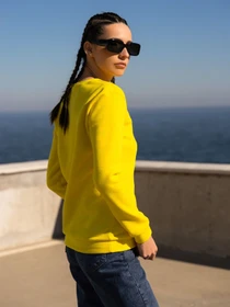 Худі та світшоти ISSA Plus модель 13599_yellow Фото