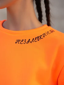 Худі та світшоти ISSA Plus модель 13599_orange Фото