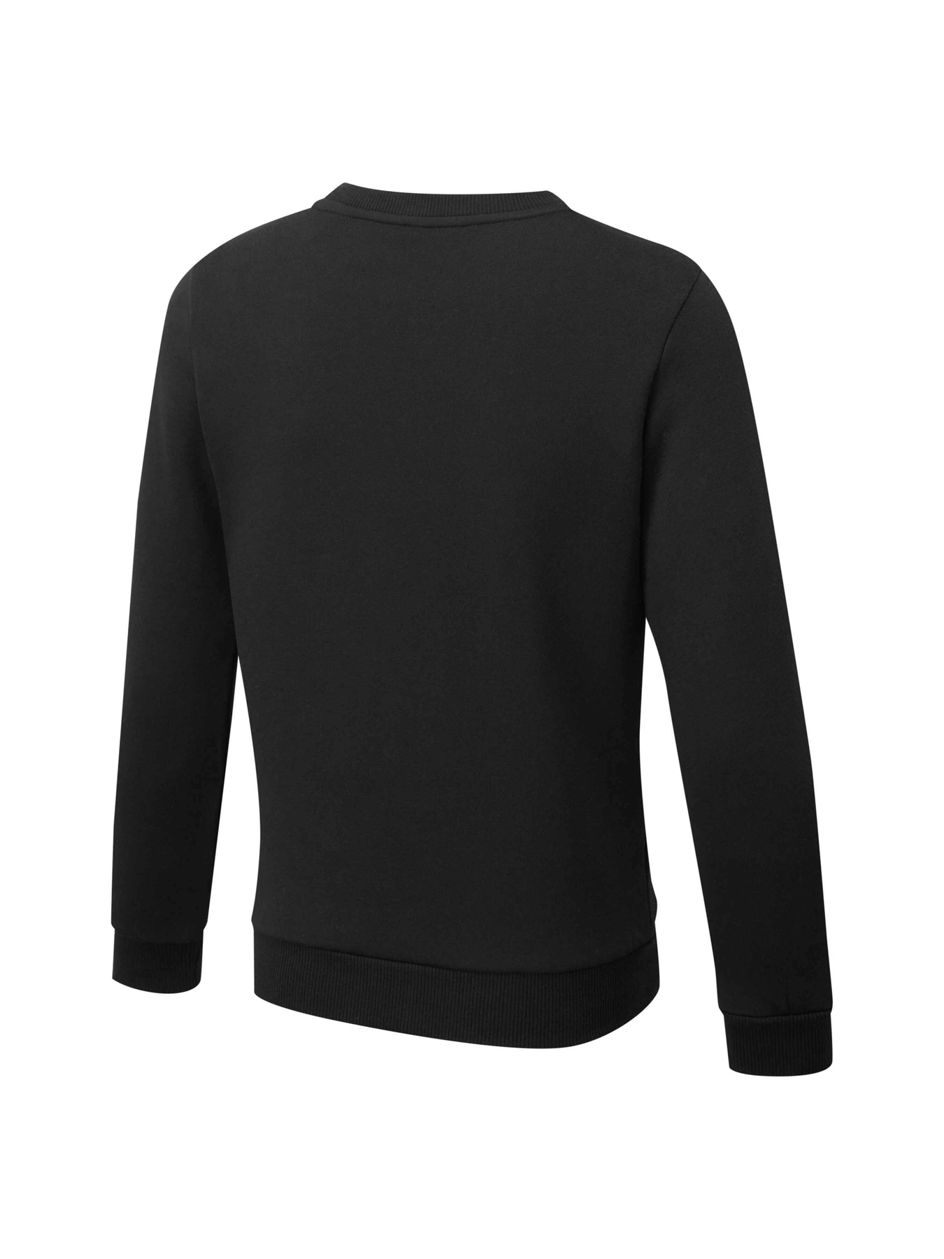 Худи и свитшоты PUMA Boys Ess Crew Sweat Fl модель 847595 Фото