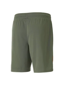 Шорти PUMA Fcsd Shorts Replica модель 765639 Фото