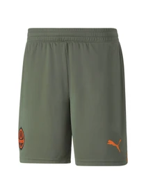 Шорти PUMA Fcsd Shorts Replica модель 765639 Фото