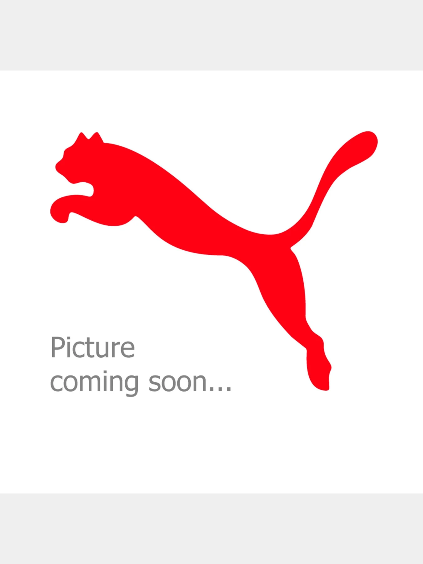 Футболки и поло PUMA Fcsd Training Jersey W модель 767241 Футболки и поло PUMA Fcsd Training Jersey W модель 767241 Фото