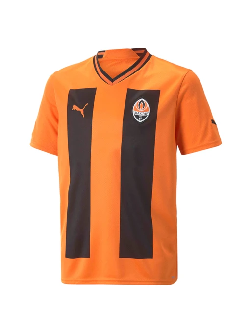 Футболки и поло PUMA Fcsd Home Jersey Replica Jr модель 765629 Фото