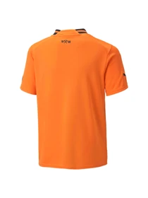 Футболки и поло PUMA Fcsd Home Jersey Replica Jr модель 765629 Фото