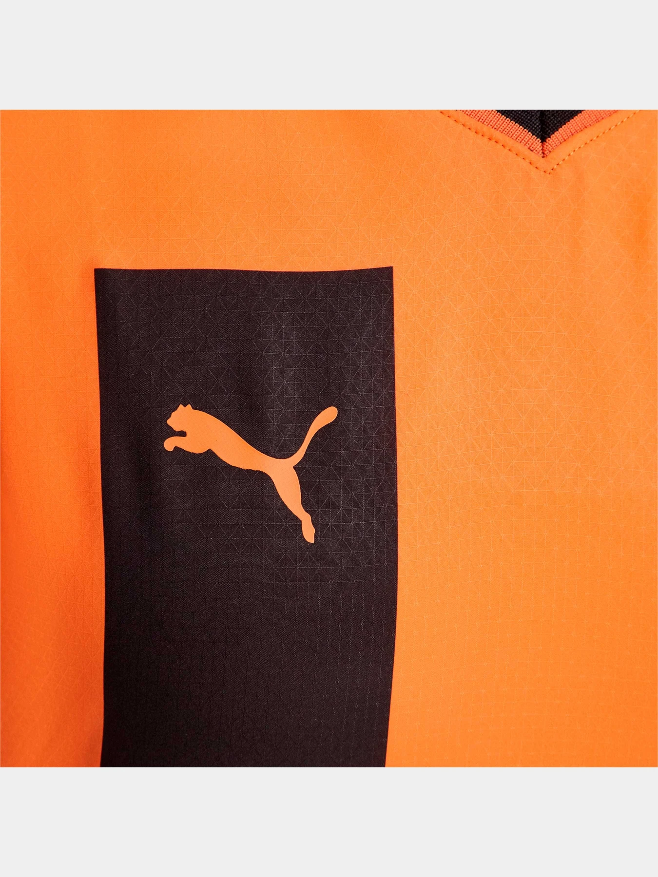 Футболки и поло PUMA Fcsd Home Jersey Promo W модель 765626 Футболки и поло PUMA Fcsd Home Jersey Promo W модель 765626 Фото