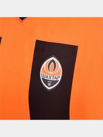 Футболки и поло PUMA Fcsd Home Jersey Promo W модель 765626 Фото