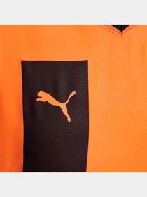 Футболки и поло PUMA Fcsd Home Jersey Promo W модель 765626 Фото