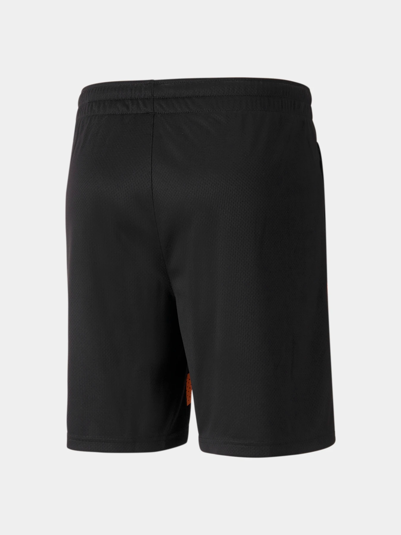 Шорти PUMA Fcsd Training Shorts модель 767246 Фото