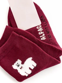 Носки и гольфы ISSA Plus модель NS-165_burgundy Фото