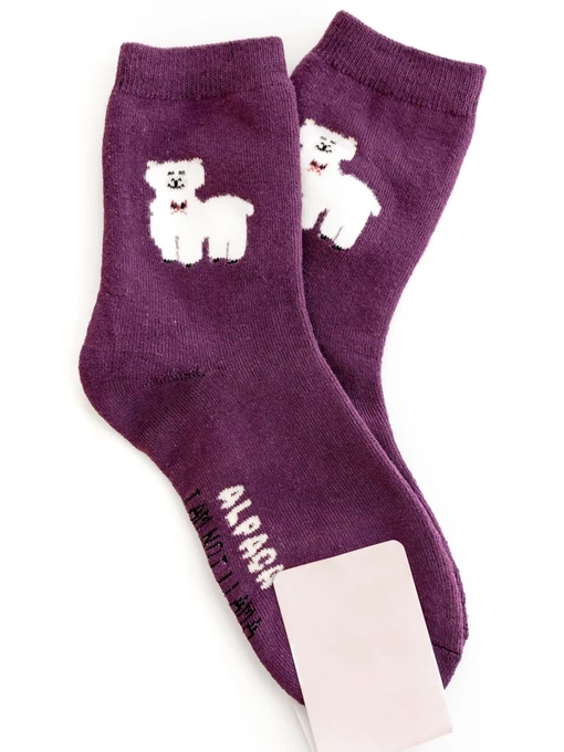 Носки и гольфы ISSA Plus модель NS-165_purple Фото