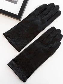 Перчатки и варежки ISSA Plus модель PE-15_black Фото