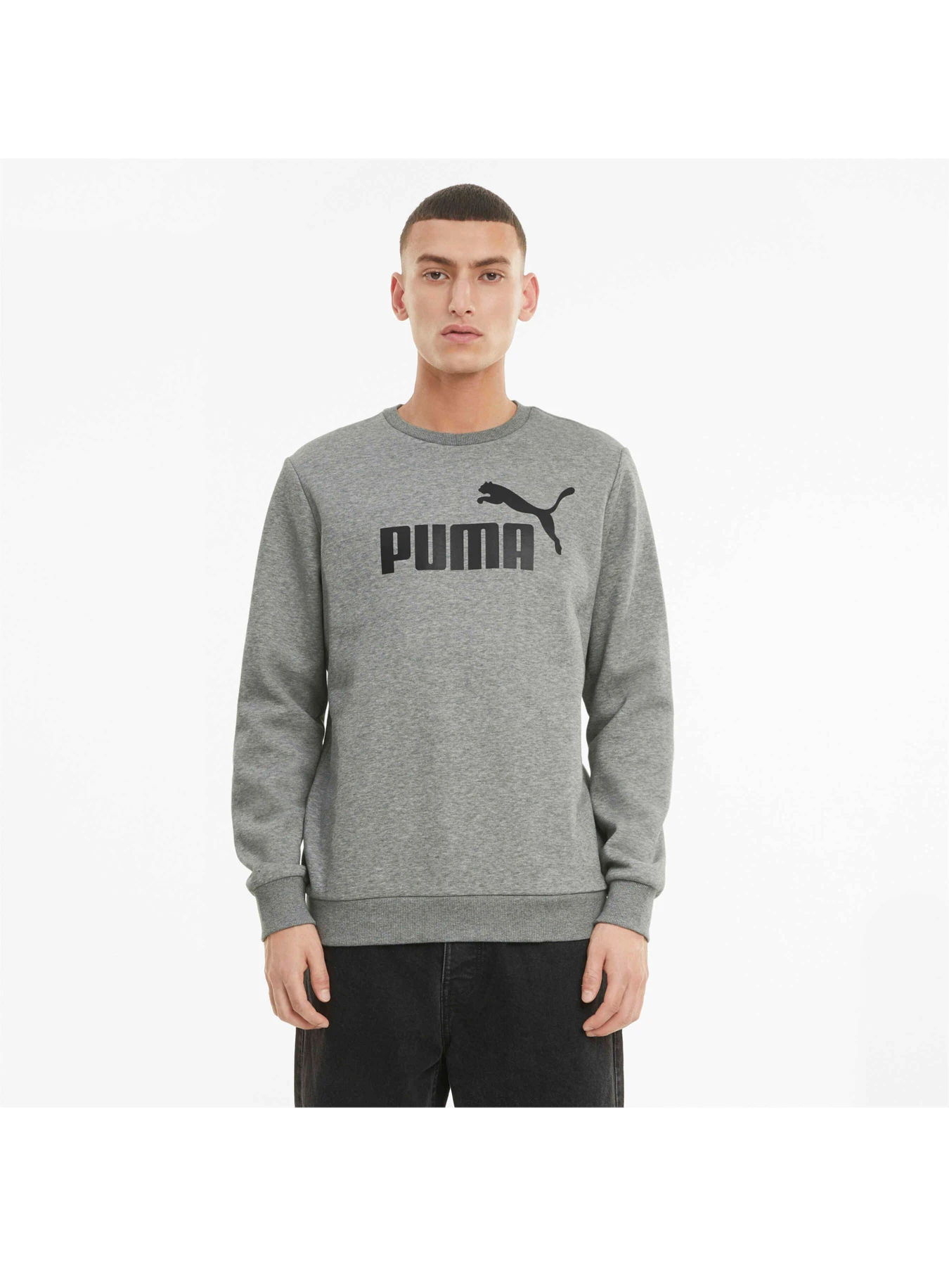 Худи и свитшоты PUMA Ess Big Logo Crew модель 586678 Фото