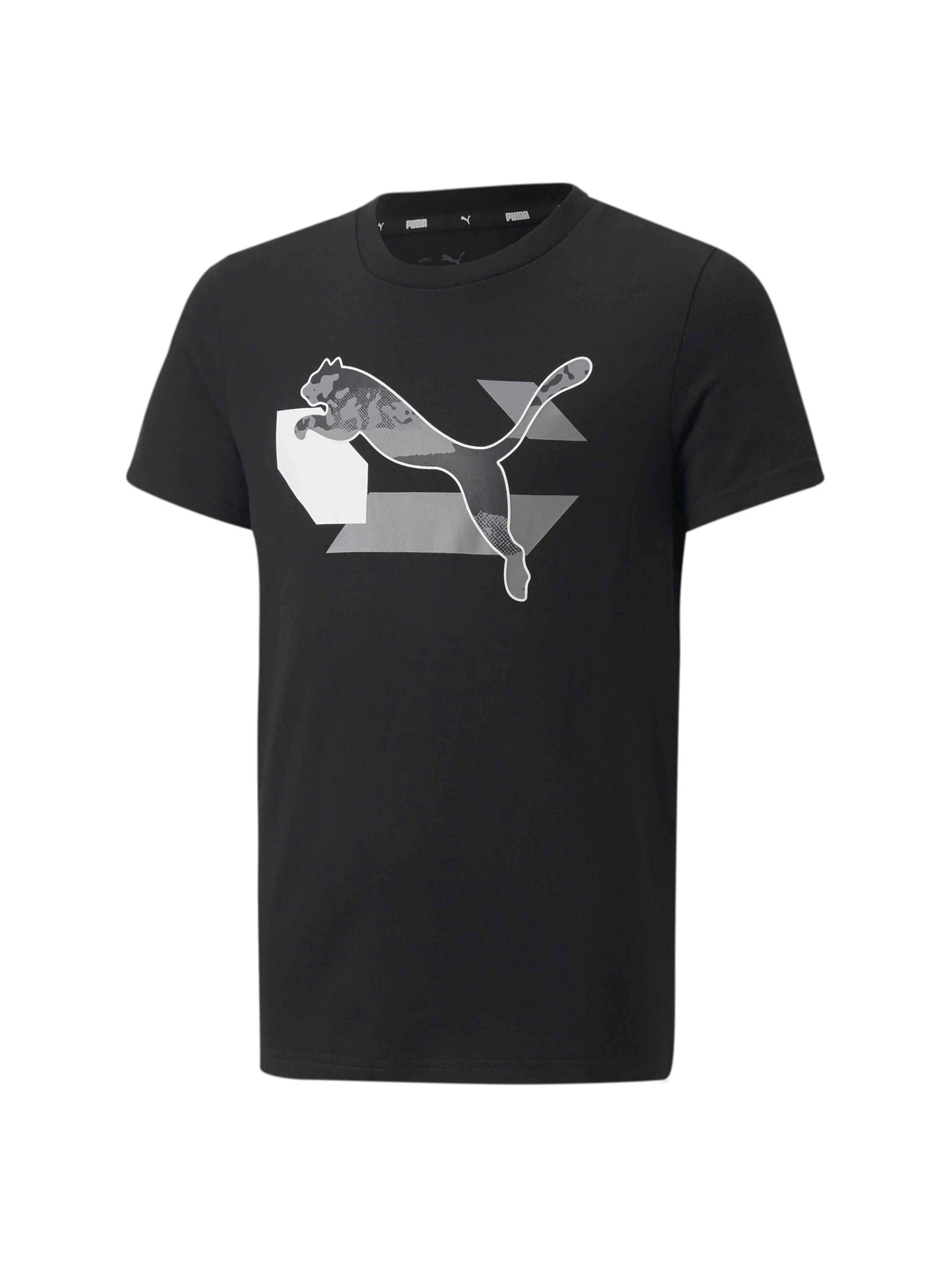 Футболки и поло PUMA Alpha Graphic Tee модель 670101 Фото