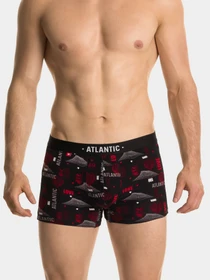 Нижня білизна Atlantic модель 2GMH-013 Фото