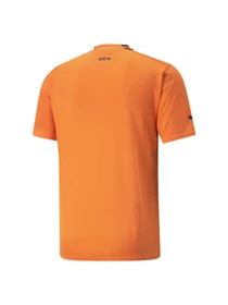 Футболки и поло PUMA Fcsd Home Jersey Replica модель 765627 Фото