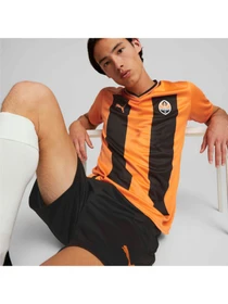 Футболки и поло PUMA Fcsd Home Jersey Replica модель 765627 Фото