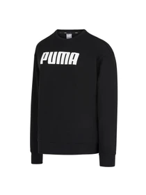 Худи и свитшоты PUMA модель 854800 Фото