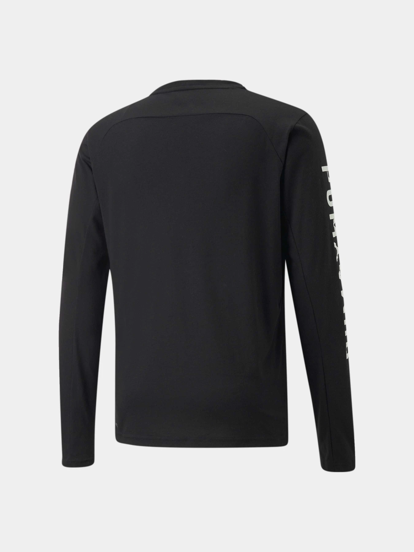 Футболки и поло PUMA Train Logo Ls Tee модель 521538 Футболки и поло PUMA Train Logo Ls Tee модель 521538 Фото