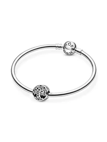 Классические PANDORA Moments модель 797590 Фото