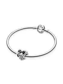 Класичні PANDORA Moments модель 798825C00 Фото