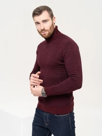 Светри та кардигани ISSA Plus модель GN4-90_burgundy Фото