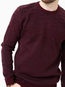 Светри та кардигани ISSA Plus модель GN4-91_burgundy Фото