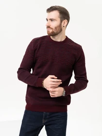 Светри та кардигани ISSA Plus модель GN4-91_burgundy Фото