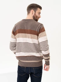 Свитры и кардиганы ISSA Plus модель GN4-96_brown Фото