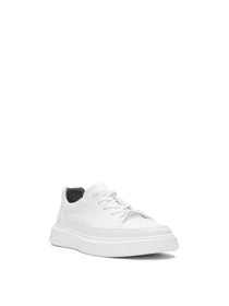 Кеди Alex Bell модель 1166442 Фото
